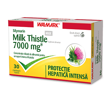 Milk Thistle